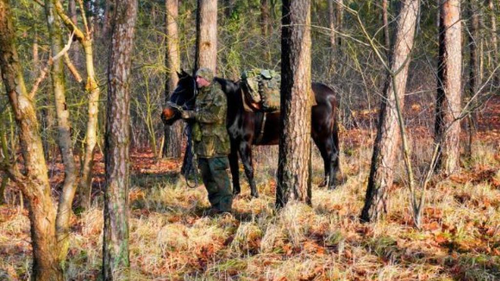 photo_1_2026-01-29_10-29-00