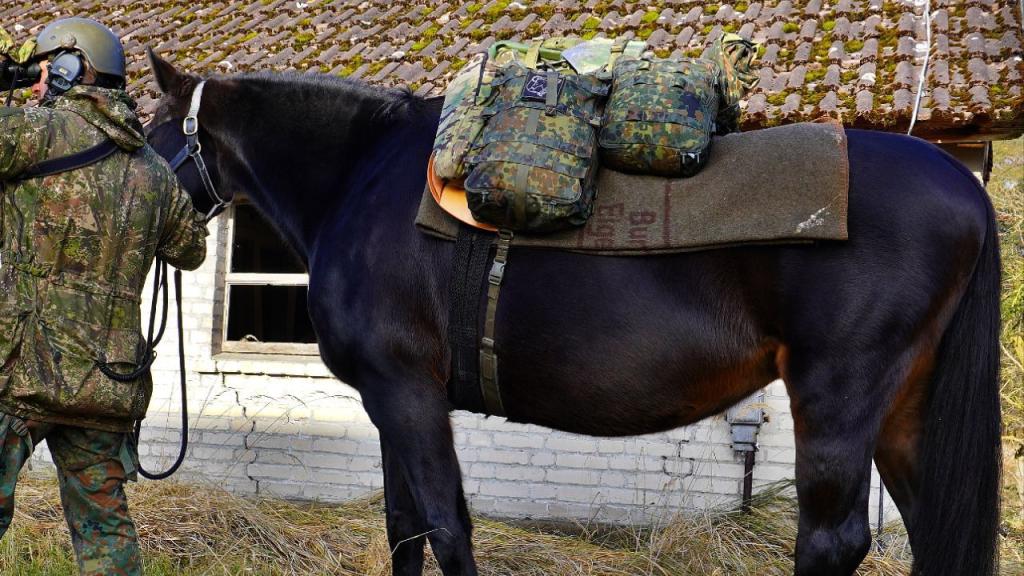 photo_2_2026-01-29_10-29-00