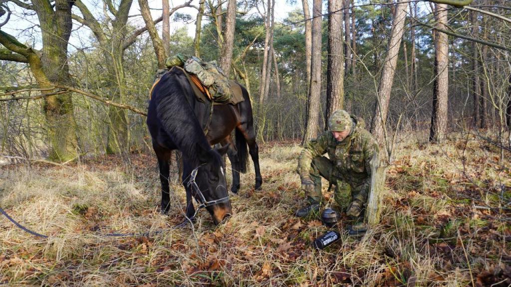 photo_3_2026-01-29_10-29-00