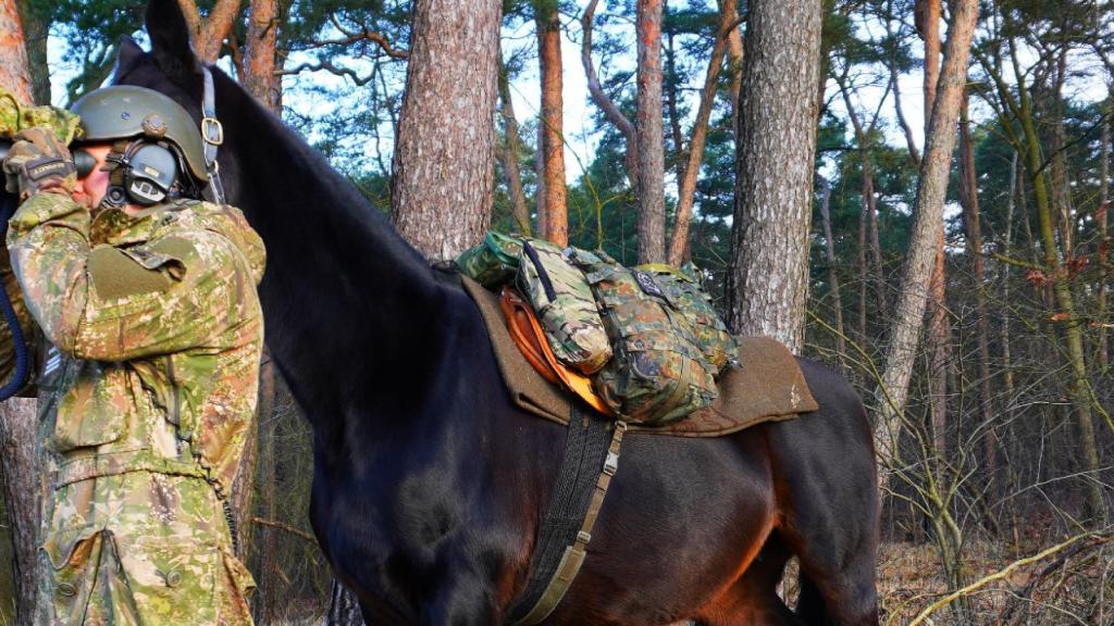 photo_4_2026-01-29_10-29-00