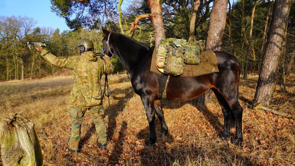 photo_6_2026-01-29_10-29-00